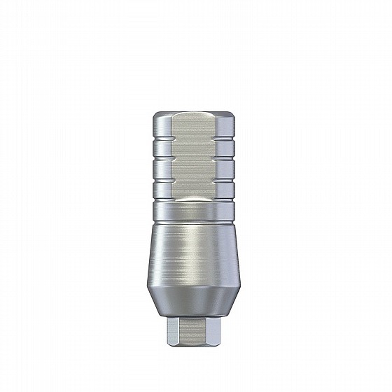���� ��� 4.6 �"� ����� 2.42 �"� DSI STRAIGHT ABUTMENT