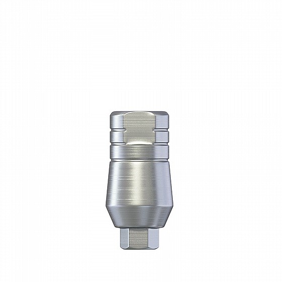 ���� ��� 4.6 �"� ����� 2.42 �"� DSI STRAIGHT ABUTMENT