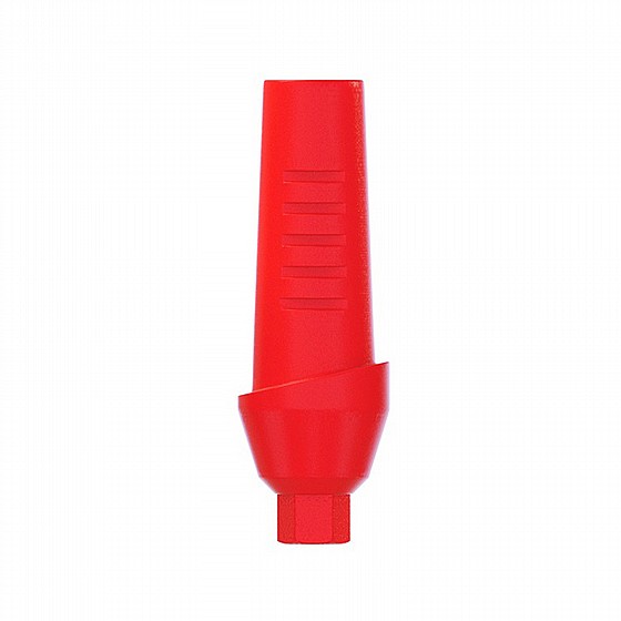 ���� ������ ������ ������ 1-4 �"� ����� 2.42 �"� DSI CASTABLE ANATOMIC ABUTMENT