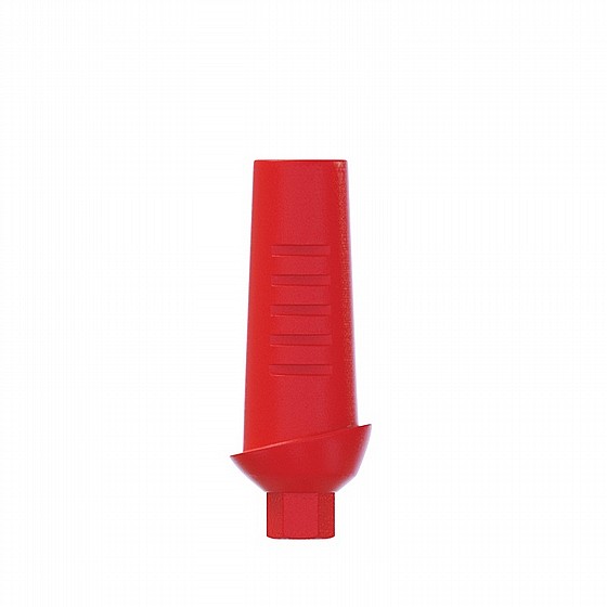 ���� ������ ������ ������ 1-4 �"� ����� 2.42 �"� DSI CASTABLE ANATOMIC ABUTMENT