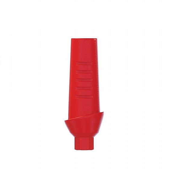 ���� ������ ������ ������ 1-4 �"� ����� 2.42 �"� DSI CASTABLE ANATOMIC ABUTMENT