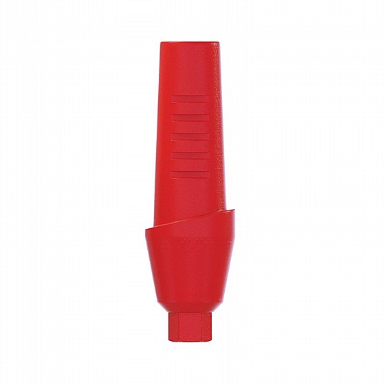 ���� ������ ������ ������ 1-4 �"� ����� 2.42 �"� DSI CASTABLE ANATOMIC ABUTMENT