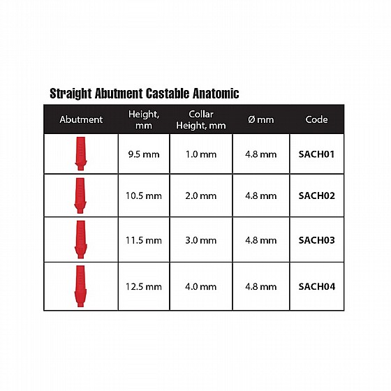 ���� ������ ������ ������ 1-4 �"� ����� 2.42 �"� DSI CASTABLE ANATOMIC ABUTMENT