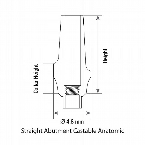 ���� ������ ������ ������ 1-4 �"� ����� 2.42 �"� DSI CASTABLE ANATOMIC ABUTMENT