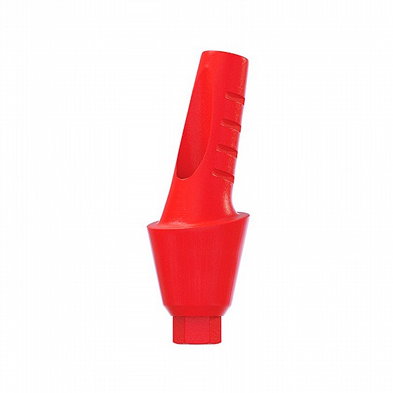 ���� ������ ������ ������ 15� ������ 1-4 �"� ����� 2.42 �"� DSI CASTABLE ANATOMIC ANGULATED ABUTMENT