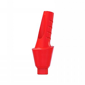 ���� ������ ������ ������ 15� ������ 1-4 �"� ����� 2.42 �"� DSI CASTABLE ANATOMIC ANGULATED ABUTMENT