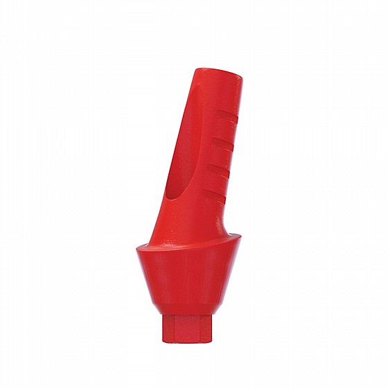 ���� ������ ������ ������ 15� ������ 1-4 �"� ����� 2.42 �"� DSI CASTABLE ANATOMIC ANGULATED ABUTMENT