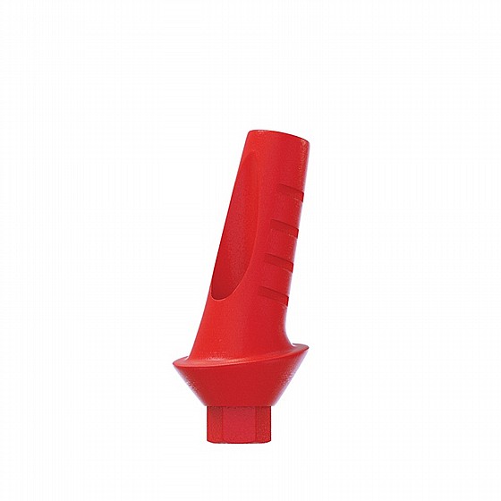 ���� ������ ������ ������ 15� ������ 1-4 �"� ����� 2.42 �"� DSI CASTABLE ANATOMIC ANGULATED ABUTMENT
