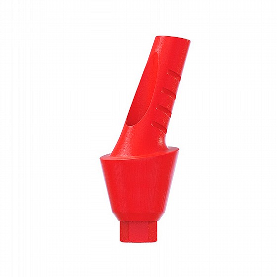 ���� ������ ������ ������ 25� ������ 1-4 �"� ����� 2.42 �"� DSI CASTABLE ANGULATED ANATOMIC ABUTMENT