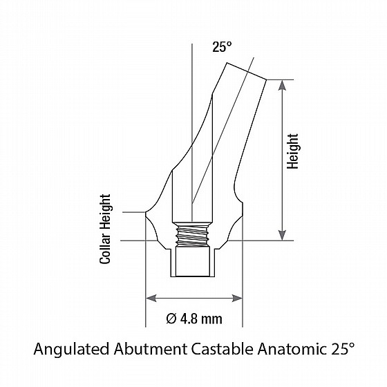 ���� ������ ������ ������ 25� ������ 1-4 �"� ����� 2.42 �"� DSI CASTABLE ANGULATED ANATOMIC ABUTMENT