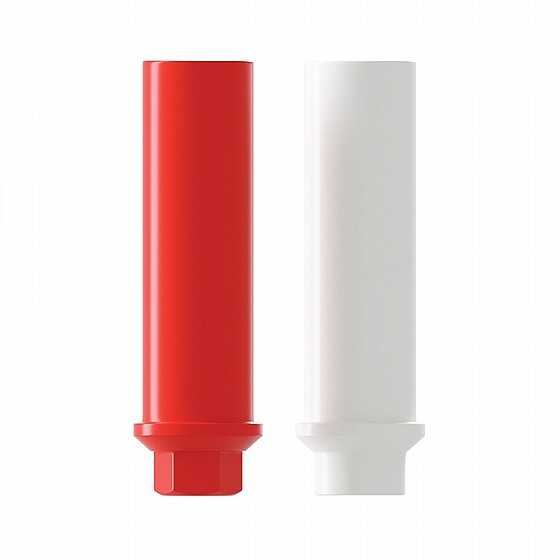 ���� ������ ������ �����/���� 2.42 �"� DSI UCLA CASTABLE ABUTMENT