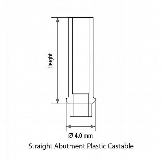 ���� ������ ������ �����/���� 2.42 �"� DSI UCLA CASTABLE ABUTMENT