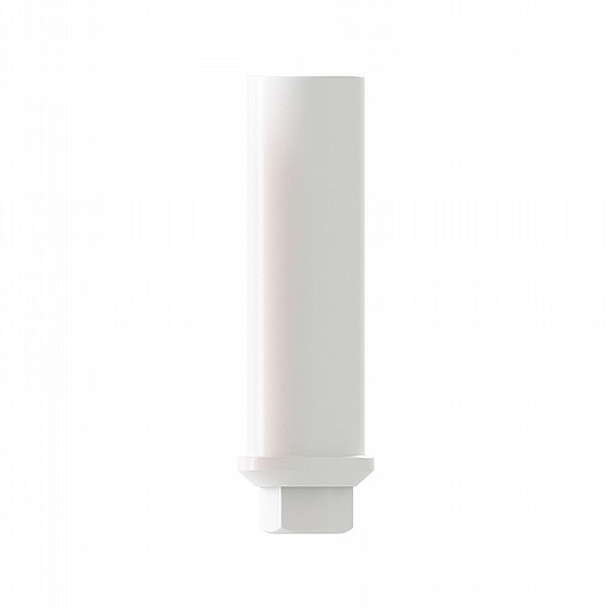 ���� ������ �� ������ �����/���� ��������� ��� ����� 2.00 �"� DSI CASTABLE ABUTMENT NARROW PLATFORM