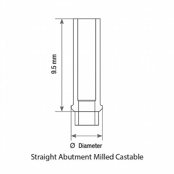 ���� ������ �� ������ �����/���� ��������� ��� ����� 2.00 �"� DSI CASTABLE ABUTMENT NARROW PLATFORM