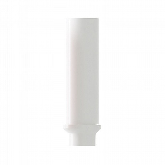 ���� ������ �� ������ �����/���� ��������� ��� ����� 2.00 �"� DSI CASTABLE ABUTMENT NARROW PLATFORM
