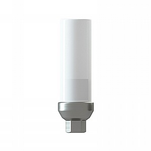 ���� ������ ���� ������� ������ �����/���� 2.42 �"� DSI CASTABLE TITANIUM BASE ABUTMENT