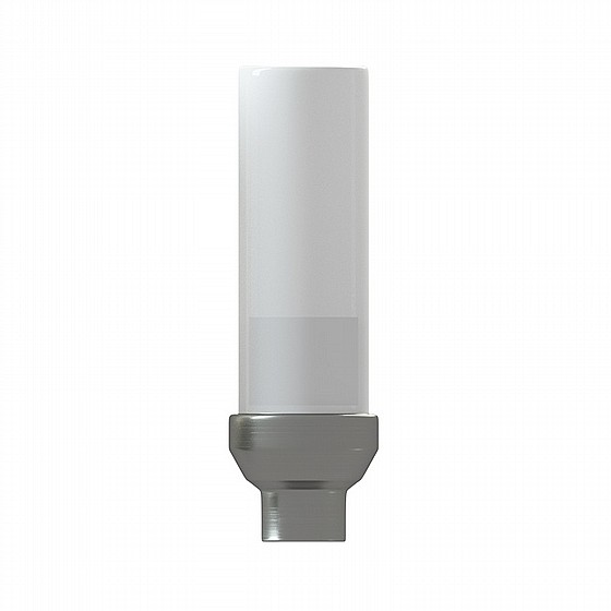 ���� ������ ���� ������� ������ �����/���� 2.42 �"� DSI CASTABLE TITANIUM BASE ABUTMENT