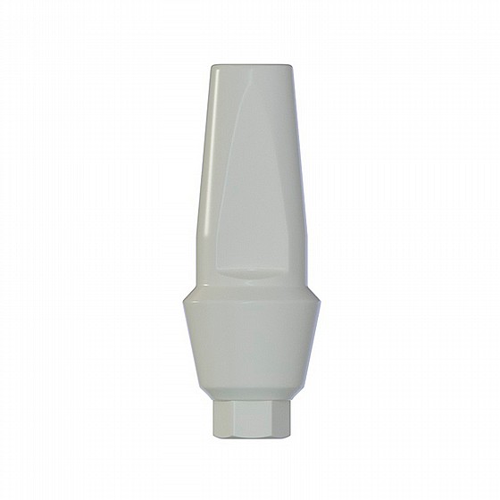 ���� ������ ���� ��� ��� 1-4 �"� ����� 2.42 �"� DSI STRAIGHT ANATOMIC PEEK ABUTMENT