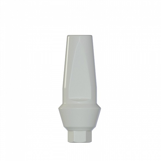���� ������ ���� ��� ��� 1-4 �"� ����� 2.42 �"� DSI STRAIGHT ANATOMIC PEEK ABUTMENT