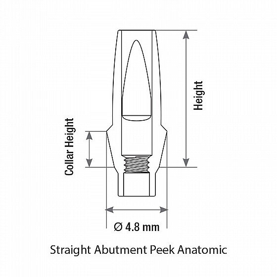 ���� ������ ���� ��� ��� 1-4 �"� ����� 2.42 �"� DSI STRAIGHT ANATOMIC PEEK ABUTMENT