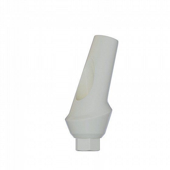 ���� ������ ���� ��� ������ 15� 1-4 �"� ����� 2.42 �"� DSI ANATOMIC ANGULATED PEEK ABUTMENT