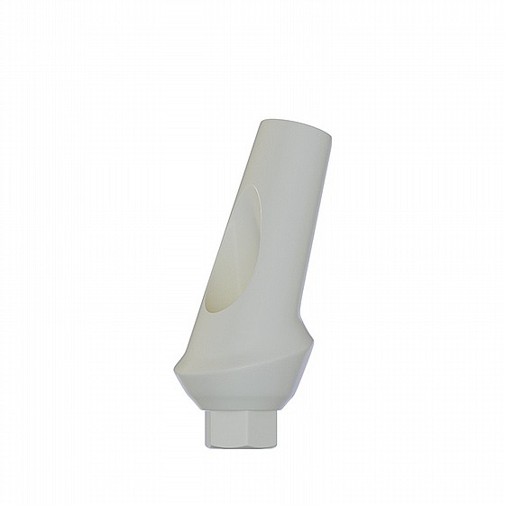 ���� ������ ���� ��� ������ 15� 1-4 �"� ����� 2.42 �"� DSI ANATOMIC ANGULATED PEEK ABUTMENT