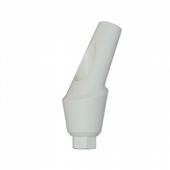 ���� ������ ���� ��� ������ 25� 1-4 �"� ����� 2.42 �"� DSI ANATOMIC ANGULATED PEEK ABUTMENT