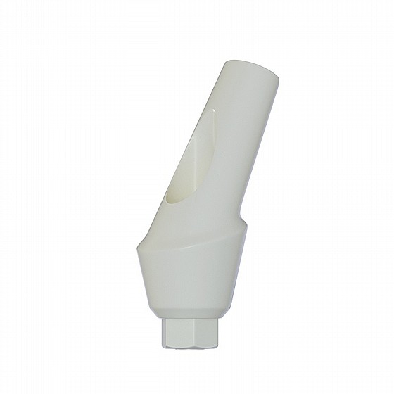 ���� ������ ���� ��� ������ 25� 1-4 �"� ����� 2.42 �"� DSI ANATOMIC ANGULATED PEEK ABUTMENT