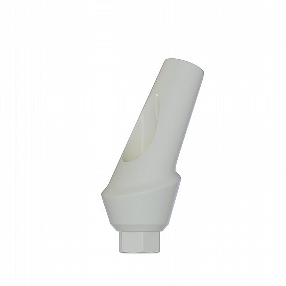 ���� ������ ���� ��� ������ 25� 1-4 �"� ����� 2.42 �"� DSI ANATOMIC ANGULATED PEEK ABUTMENT