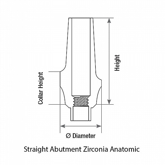 ���� �������� ��� 1.5 �"� ����� 2.42 �"� DSI ZIRCONIA STRAIGHT ABUTMENT