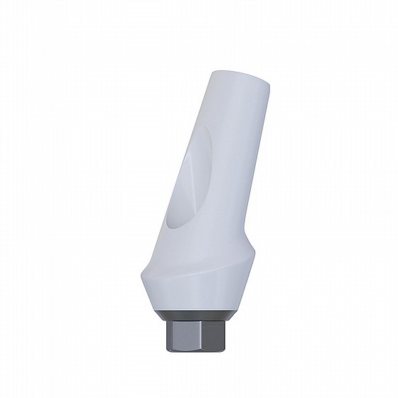 ���� �������� ������ 15� 1-3 �"� ����� 2.42 �"� DSI ZIRCONIA ANGULATED ABUTMENT