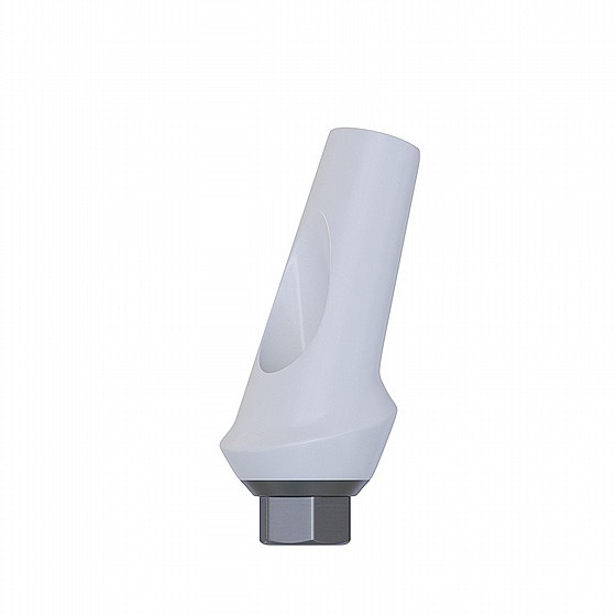 ���� �������� ������ 15� 1-3 �"� ����� 2.42 �"� DSI ZIRCONIA ANGULATED ABUTMENT