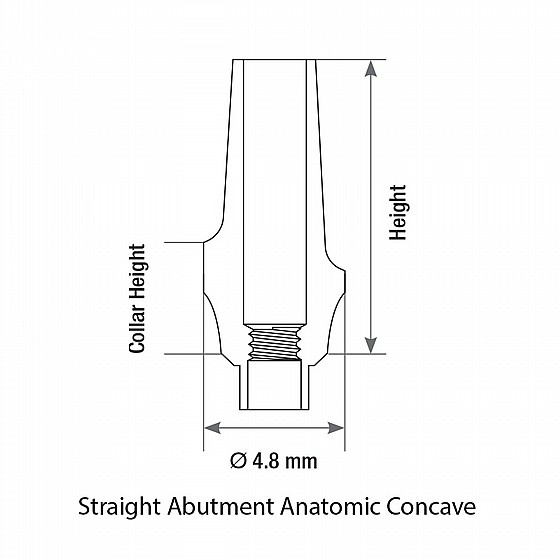 ���� ������� ������ ��� 1-4 �"� ����� 2.42 �"� DSI CONCAVE ANATOMIC STRAIGHT ABUTMENT