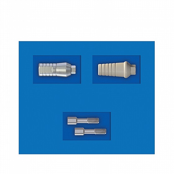 ��� ������� ��� DSI PROSTHETIC KIT
