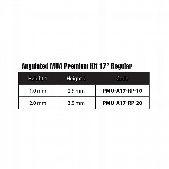 ���� ������ ����� ����� ������ 17� DSI ANGULATED MULTI-UNIT PREMIUM KIT