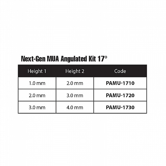���� ���� �� ����� ����� ������ 17� DSI MULTI-UNIT NEXT GEN ANGULATED KIT
