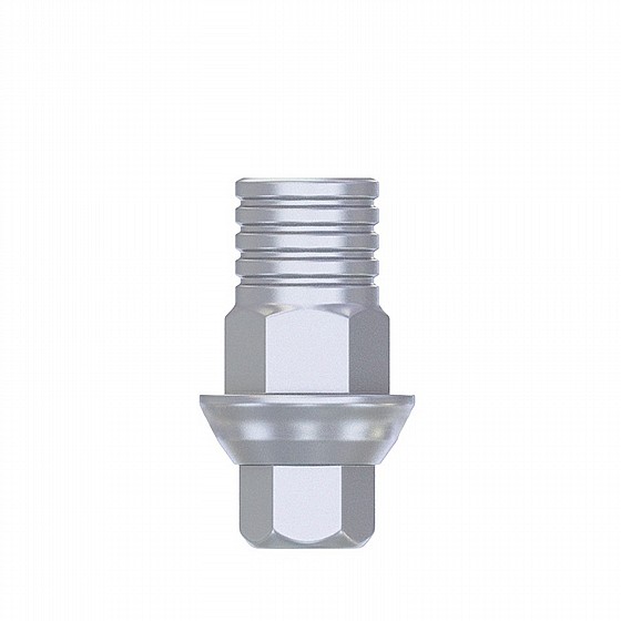 ���� �� ���� ��� ��� ���� DSI ����� 2.42 �"� DSI CAD/CAM TI-BASE ABUTMENT