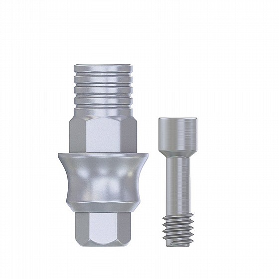 ���� �� ���� ��� ��� ���� DSI ����� 2.42 �"� DSI CAD/CAM TI-BASE ABUTMENT