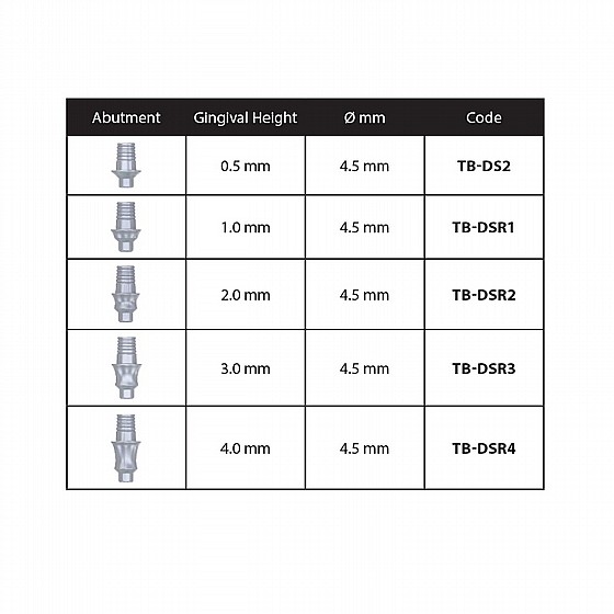 ���� �� ���� ��� ��� ���� DSI ���� 2.42 �"� DSI CAD/CAM TI-BASE ABUTMENT
