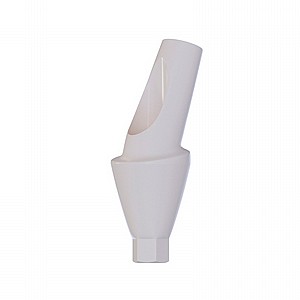���� ��� ���� ������ ������ 15� 1-3 �"� DSI ANGULATED 15� ANATOMIC PEEK ABUTMENT NP ?3.5mm