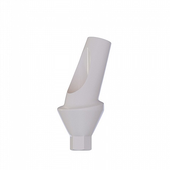 ���� ��� ���� ������ ������ 15� 1-3 �"� DSI ANGULATED 15� ANATOMIC PEEK ABUTMENT NP ?3.5mm