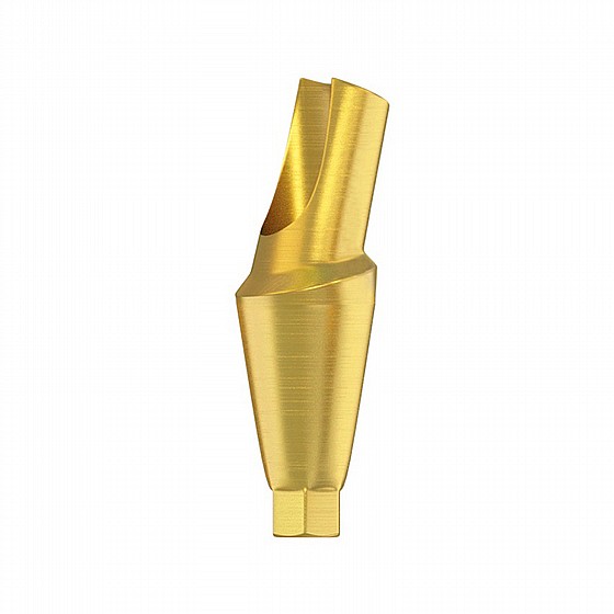 ���� ���� ������ ������ 15� 1.5-4.5 �"� DSI ANGULATED 15� ANATOMIC ABUTMENT NP ?3.5mm