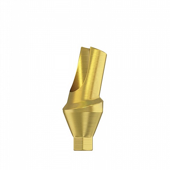 ���� ���� ������ ������ 15� 1.5-4.5 �"� DSI ANGULATED 15� ANATOMIC ABUTMENT NP ?3.5mm