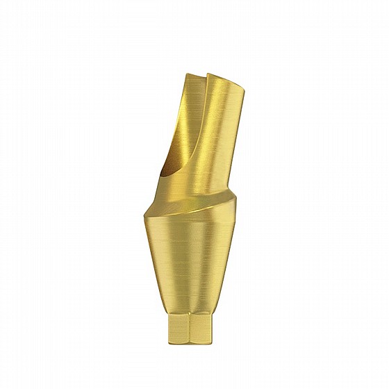���� ���� ������ ������ 15� 1.5-4.5 �"� DSI ANGULATED 15� ANATOMIC ABUTMENT NP ?3.5mm