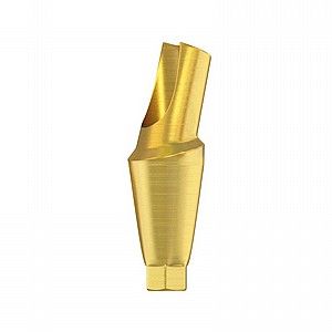 ���� ���� ������ ������ 15� 1.5-4.5 �"� DSI ANGULATED 15� ANATOMIC ABUTMENT RP ?4.3-5.0mm