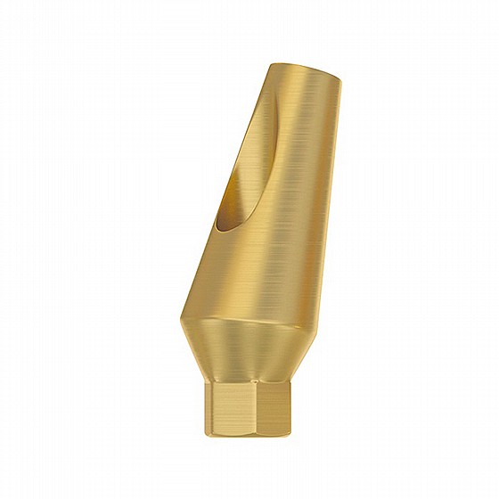 ���� ���� ������ 15� DSI ANGULATED 15� ABUTMENT ?NP3.5mm / ?RP4.3-5.0mm
