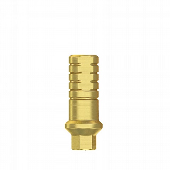 ���� ����� ���� 1-3 �"� DSI SHOULDER ABUTMENT RP ?4.3-5.0mm 