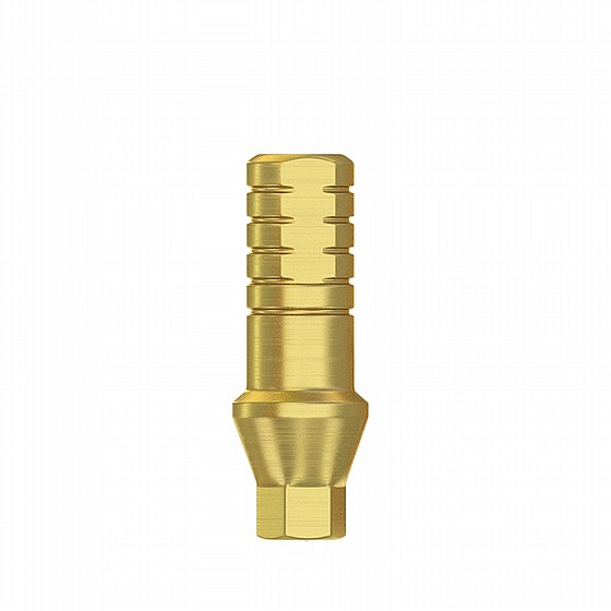 ���� ����� ���� 1-3 �"� DSI SHOULDER ABUTMENT RP ?4.3-5.0mm 
