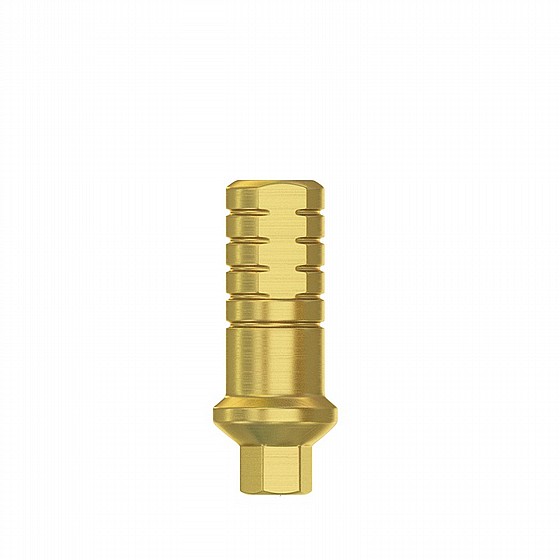 ���� ����� ���� 1-3 �"� DSI SHOULDER ABUTMENT NP ?3.5mm 