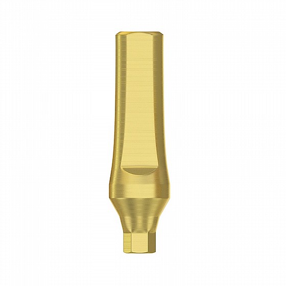 ���� ��� ���� ����/��� DSI STRAIGHT ABUTMENT RP ?4.3-5.0mm L 9mm/13mm  